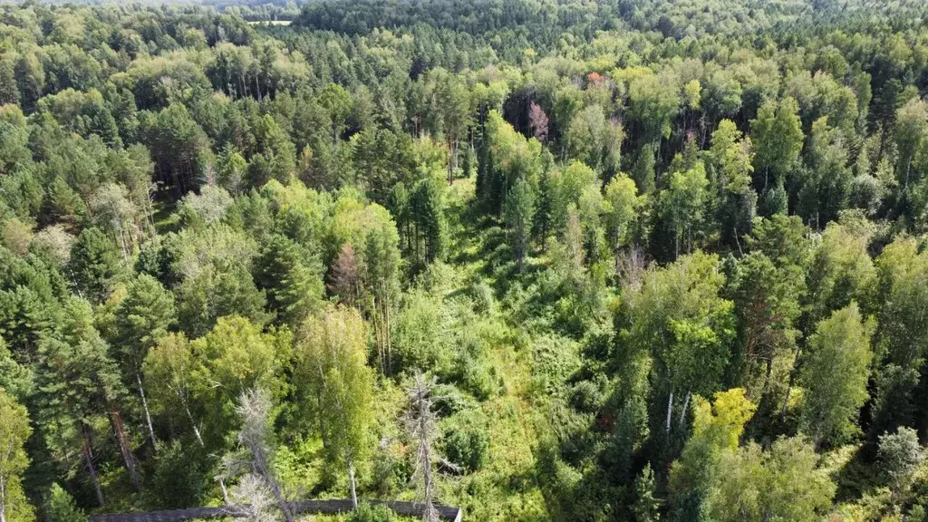 Участок в Томская область, Томский район, Богашевское с/пос, Некрасово ... - Фото 2