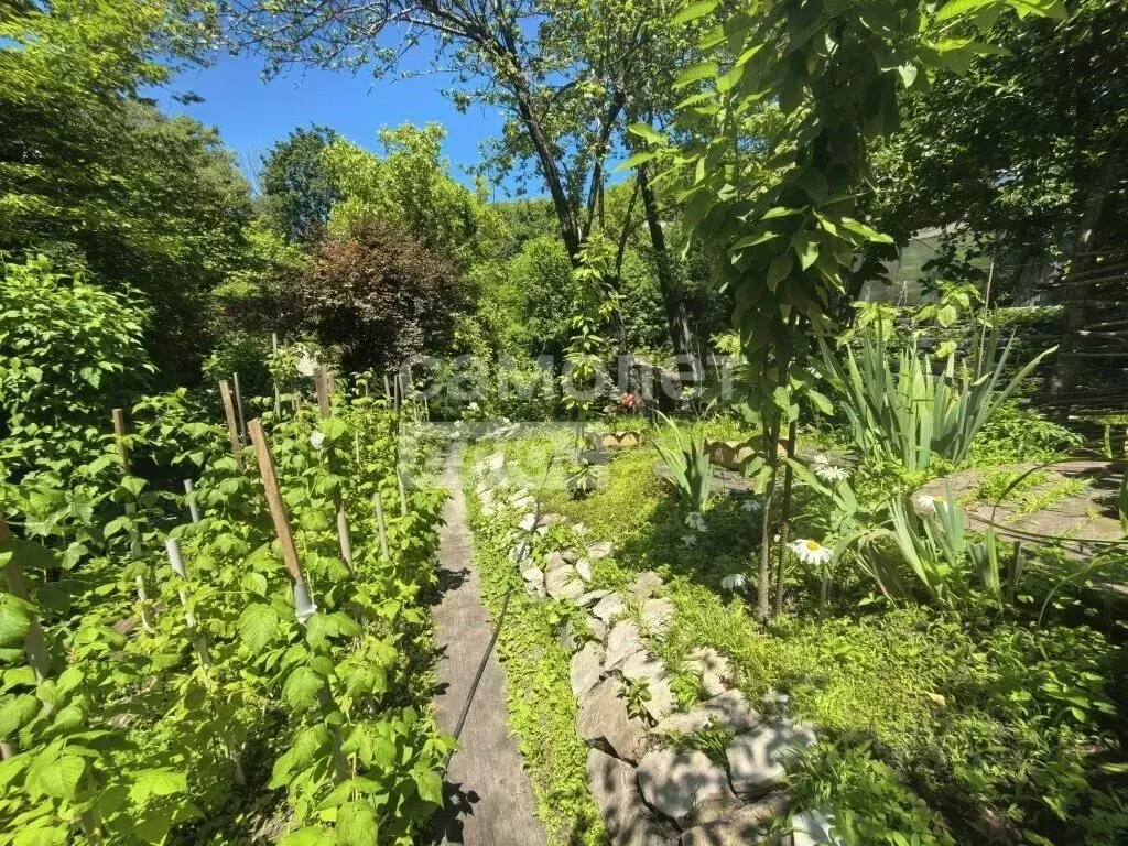 Дом в Краснодарский край, Туапсинский муниципальный округ, с. Холодный ... - Фото 2