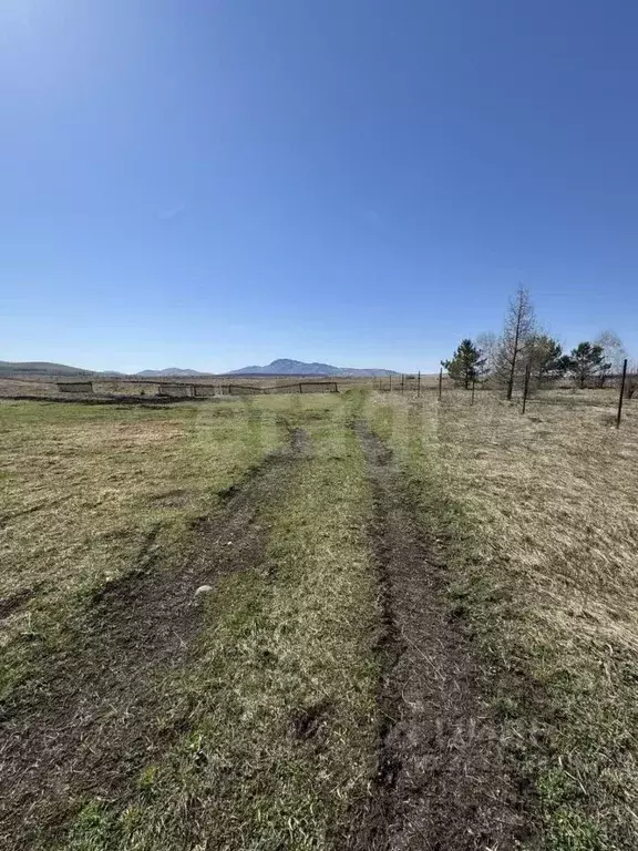 Участок в Алтайский край, Советский район, с. Платово Молодежная ул. ... - Фото 0