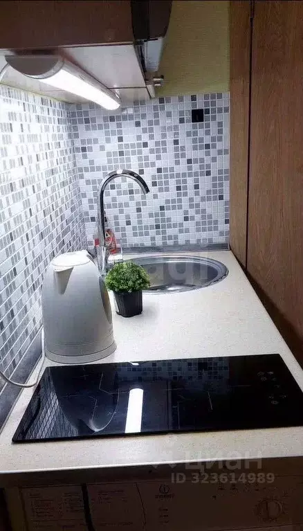 2-к кв. Воронежская область, Воронеж ул. Березовая Роща, 28/1 (25.0 м) - Фото 2