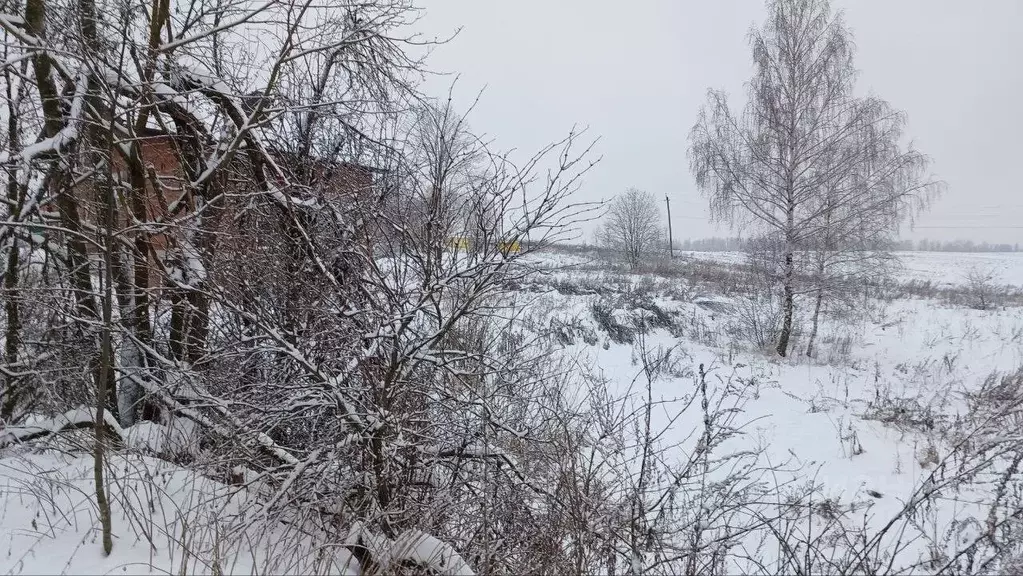 Участок в Московская область, Сергиево-Посадский городской округ, д. ... - Фото 0