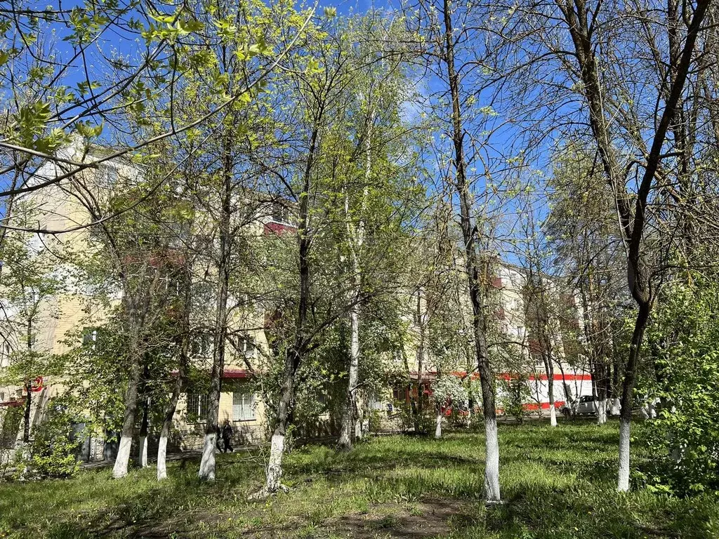 1-к. квартира, 31 м, 5/5 эт. - Фото 0