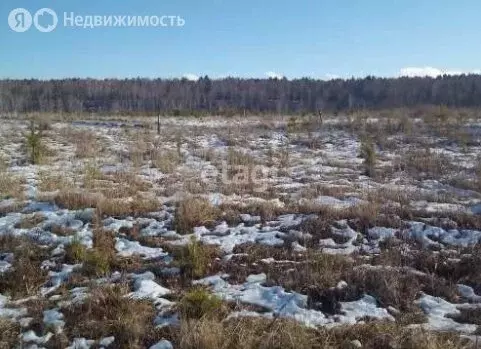 Участок в Курган, микрорайон Тополя (10 м) - Фото 1