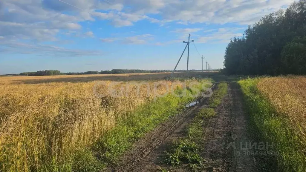 Участок в Тюменская область, Тюменский район, Новокаменский кп  (200.0 ... - Фото 0