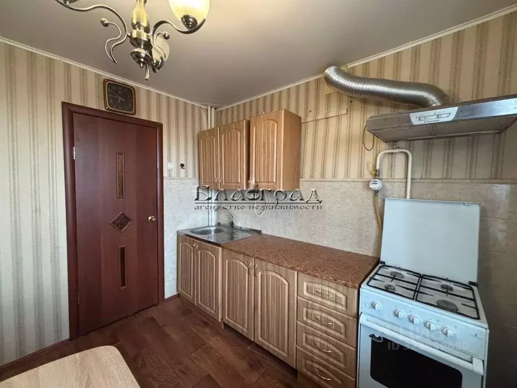 2-к кв. Челябинская область, Челябинск ул. Василевского, 77 (53.0 м) - Фото 2