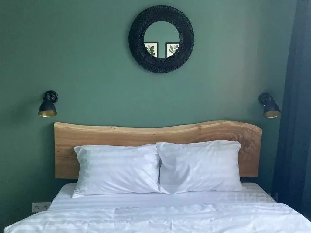 1-к кв. Санкт-Петербург, Санкт-Петербург, Пушкин ул. Камероновская, ... - Фото 2