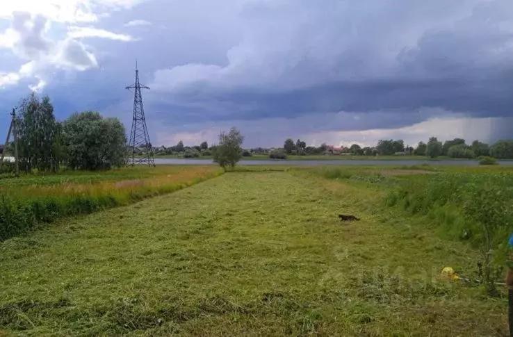 Участок в Новгородская область, Новгородский район, Борковское с/пос, ... - Фото 0