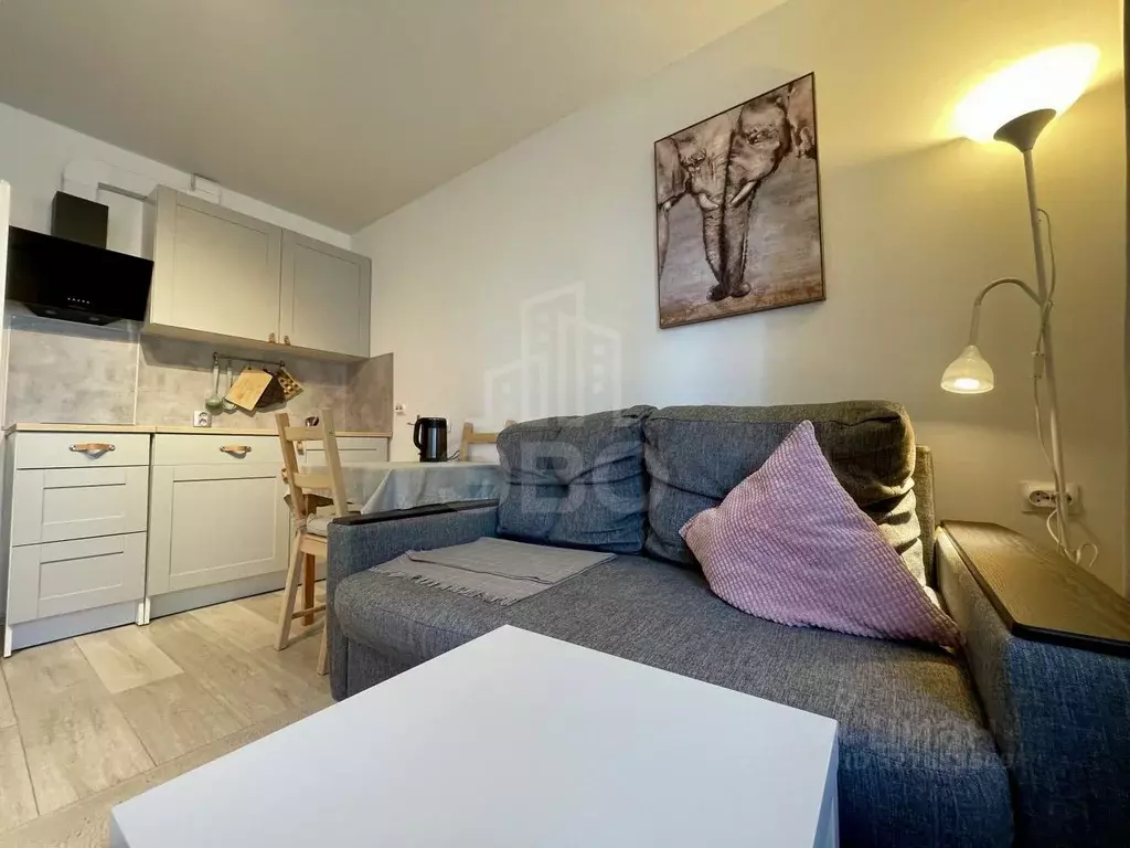 Студия Ленинградская область, Ломоносовский район, Виллозское ... - Фото 2