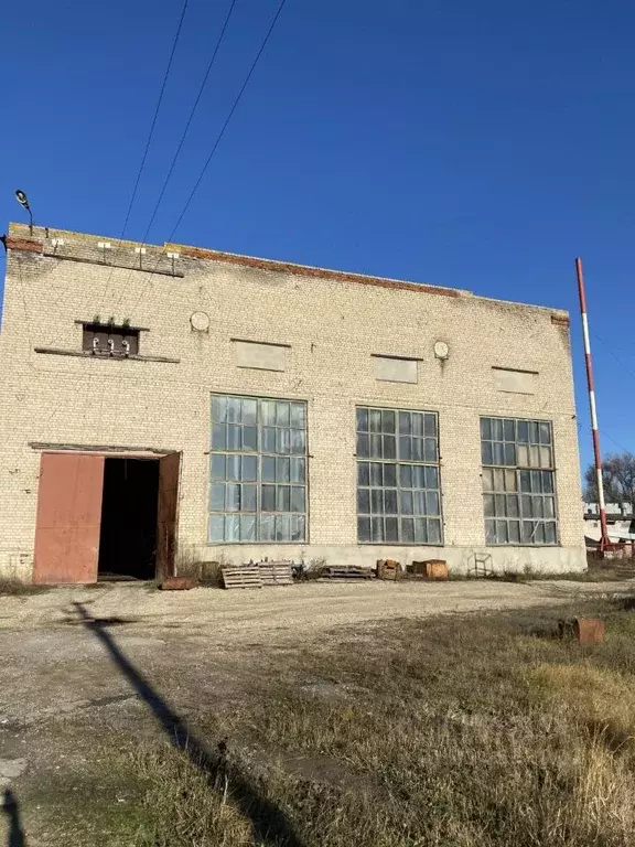 Производственное помещение в Воронежская область, Эртиль Первомайская ... - Фото 1