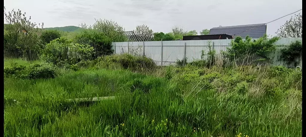 Участок в Краснодарский край, Геленджик городской округ, с. Береговое ... - Фото 0