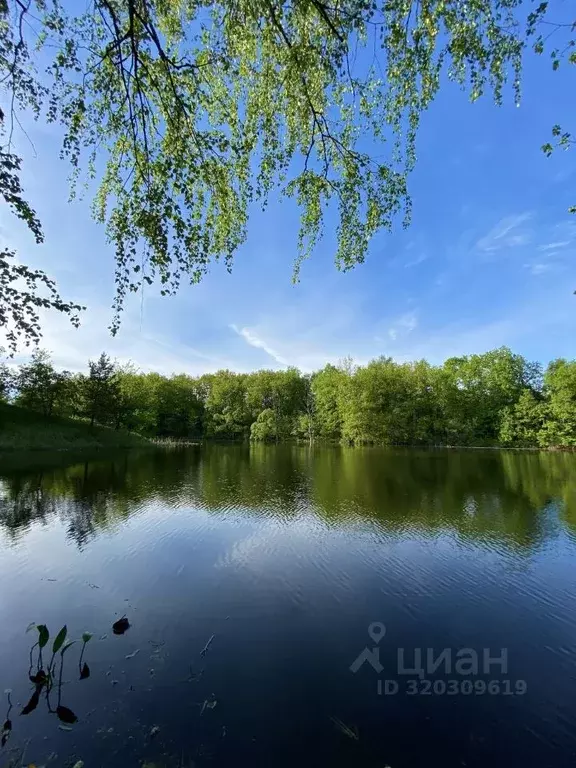 Участок в Пензенская область, Нижний Ломов М-5 Урал, 528-й км (22.2 ... - Фото 1