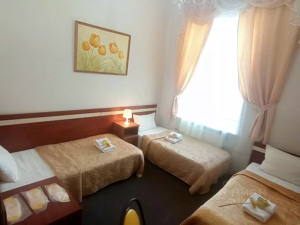 Комната Санкт-Петербург ул. Союза печатников, 4 (18.0 м) - Фото 1