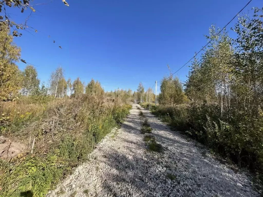 Участок в Тульская область, Тула городской округ, д. Харино ул. ... - Фото 1