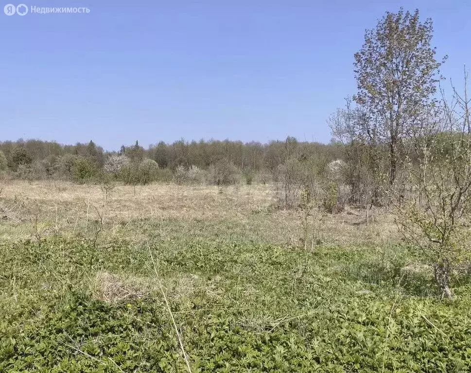 Участок в Брянский район, село Журиничи (20 м) - Фото 1
