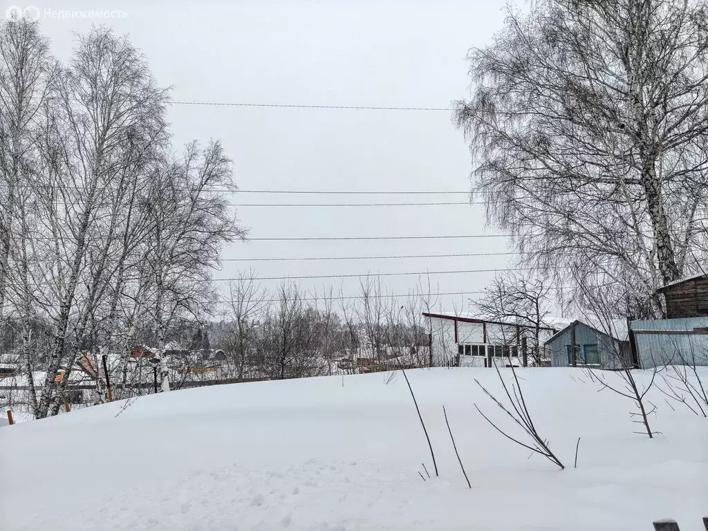 Участок в Новосибирск, территория садоводческого товарищества Рябина, ... - Фото 2