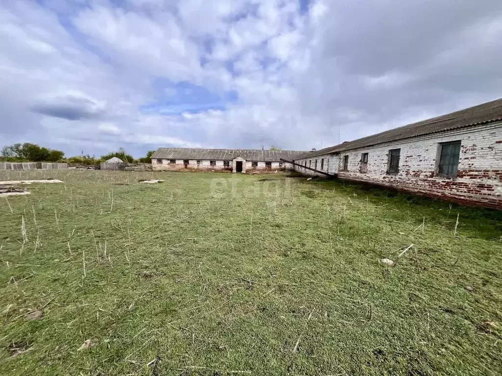 Помещение свободного назначения в Тамбовская область, Тамбовский ... - Фото 2