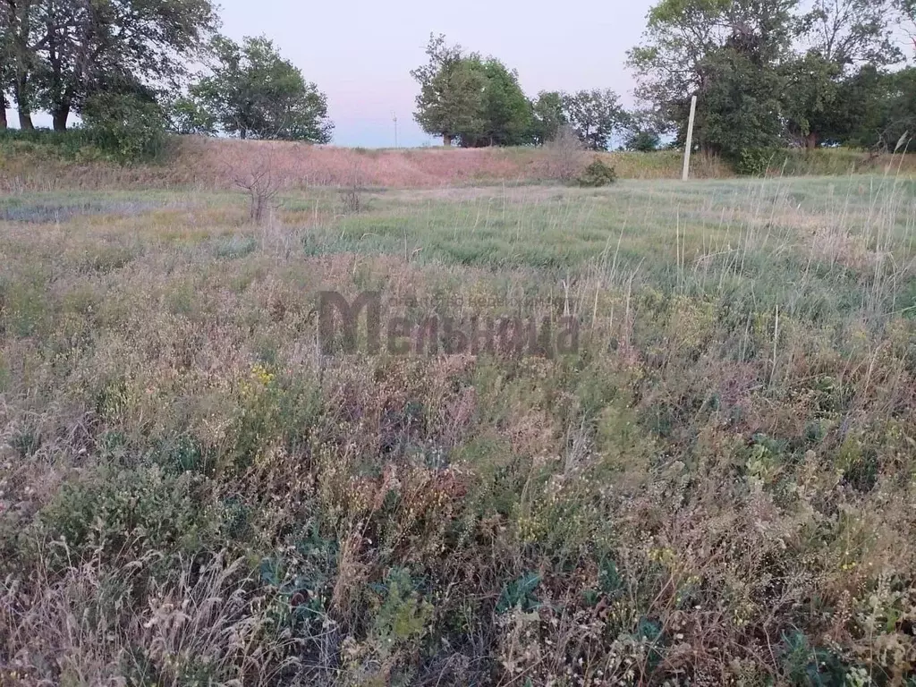 Участок в Волгоградская область, Краснослободск Среднеахтубинский ... - Фото 2