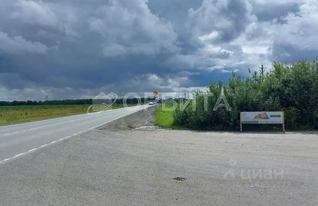 Участок в Тюменская область, Тюменский район, с. Каменка  (16.0 сот.) - Фото 1