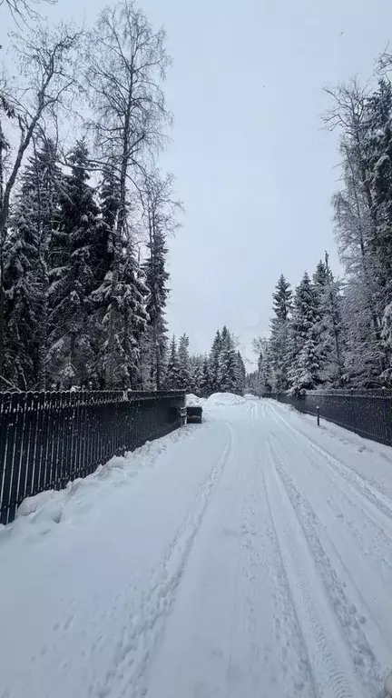 Участок 8,3 сот. (СНТ, ДНП) - Фото 0