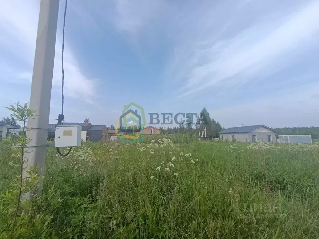 Участок в Ленинградская область, Ломоносовский район, Горбунковское ... - Фото 1