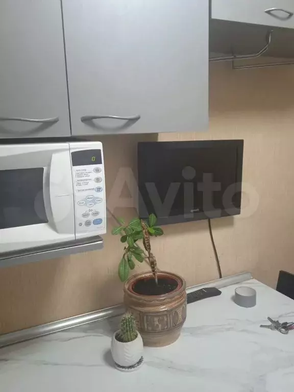 1-к. квартира, 31 м, 1/5 эт. - Фото 0