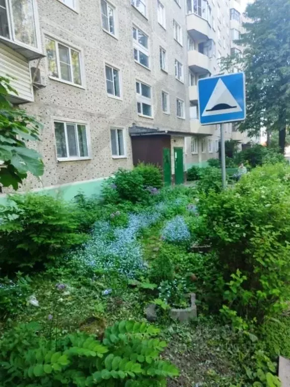 3-к кв. Московская область, Солнечногорск Рекинцо мкр, 2 (64.0 м) - Фото 2