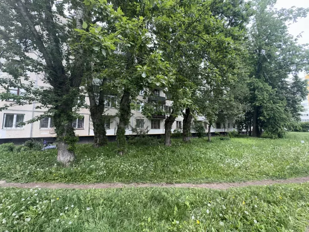 1-к кв. Санкт-Петербург ул. Партизана Германа, 41К2 (30.4 м) - Фото 2