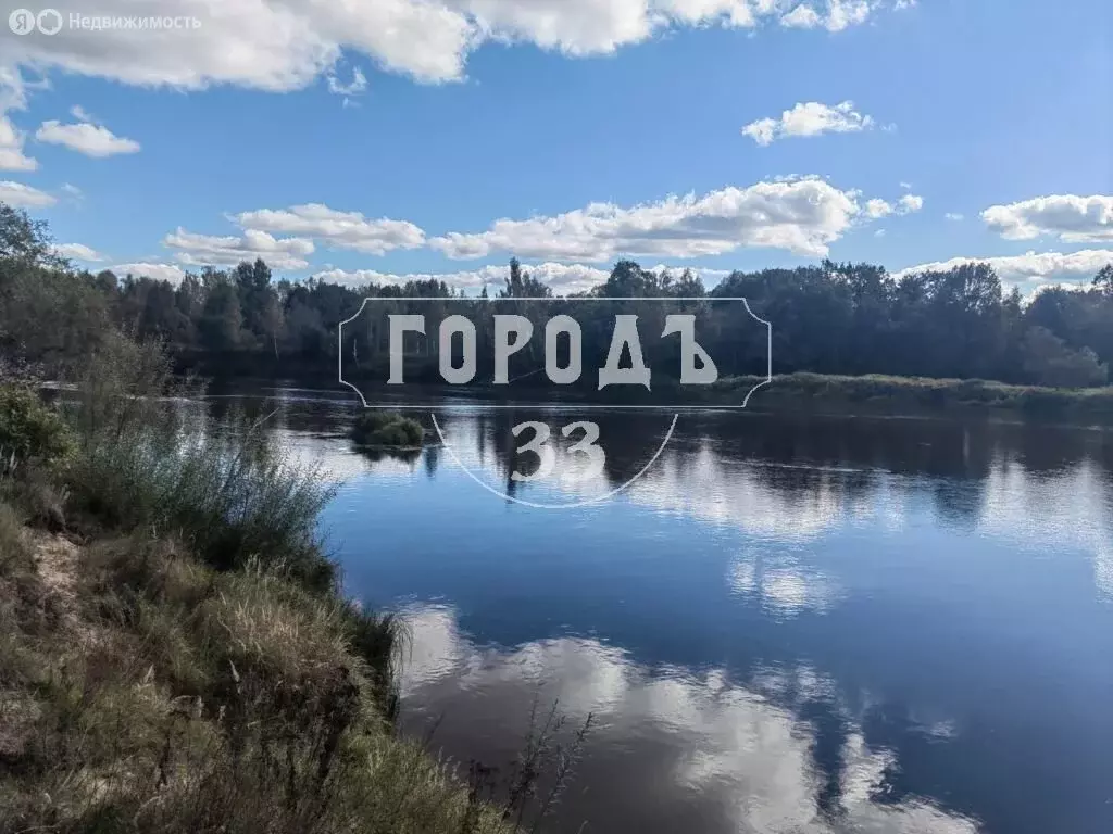 Участок в Ярославская область, Некрасовский муниципальный округ, ... - Фото 1