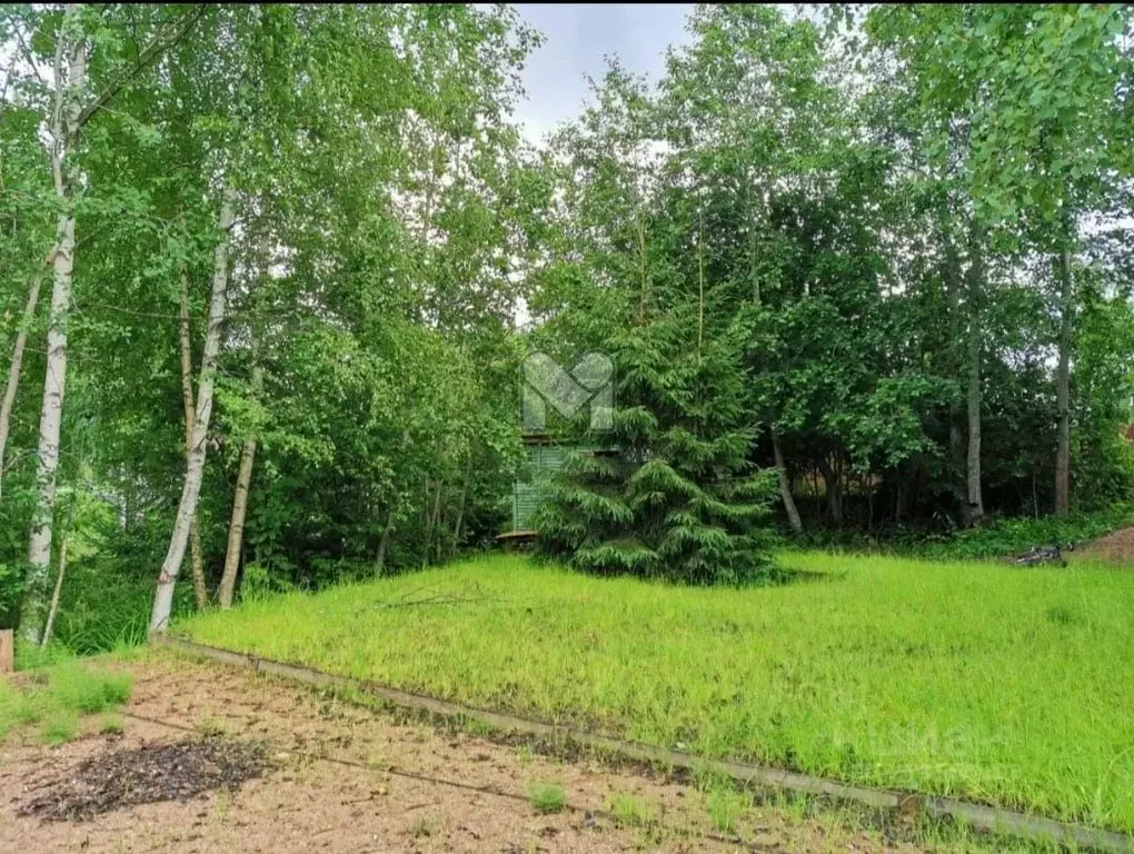 Участок в Ленинградская область, Приозерский район, Сосновское с/пос, ... - Фото 1