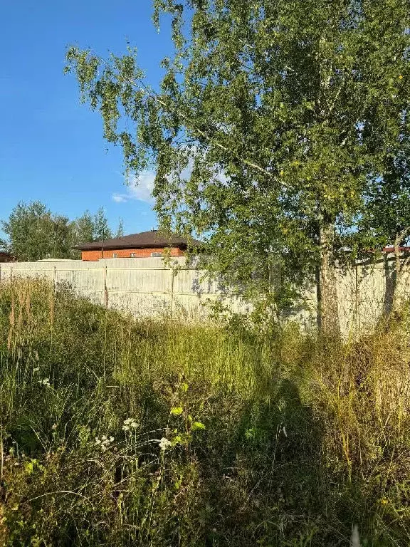 Продается участок в пос. Дорохово - Фото 0