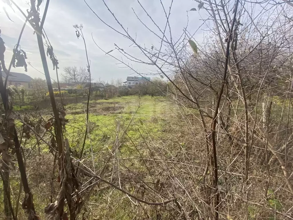 Участок в Адыгея, Майкопский район, пос. Каменномостский ул. Высокая ... - Фото 1