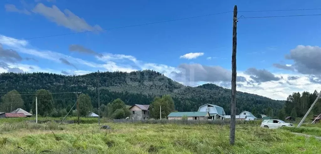 Участок в Алтай, с. Чоя ул. Молодежная, 10Б (12.0 сот.) - Фото 2