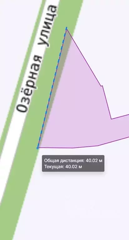 Участок в Алтайский край, Барнаул городской округ, с. Лебяжье ул. ... - Фото 1