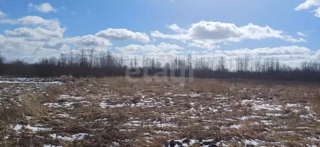 Участок в Вологодская область, Шекснинский муниципальный округ, д. ... - Фото 1