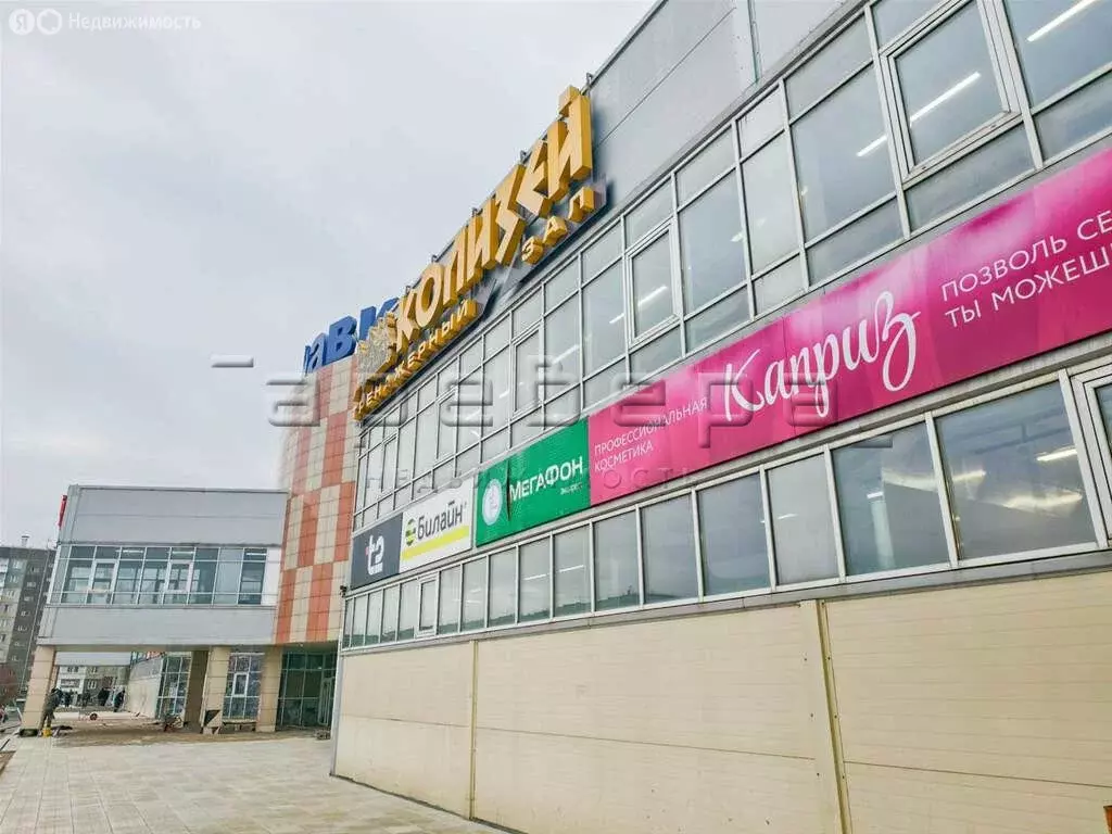 Помещение свободного назначения (20000 м) - Фото 2