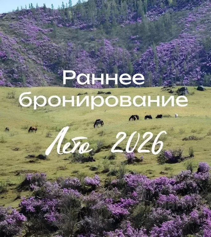 Дом в Алтай, Чемальский район, с. Чемал  (42 м) - Фото 1