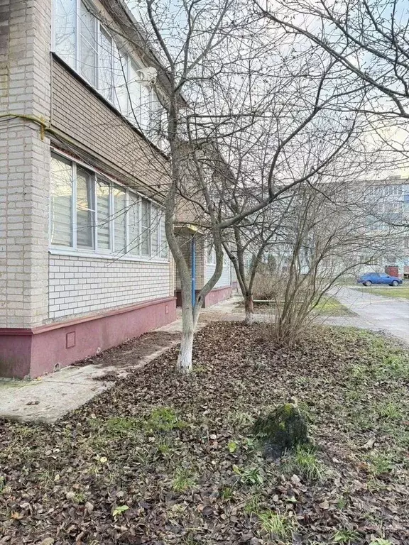 2-к кв. Московская область, Егорьевск муниципальный округ, д. Михали ... - Фото 2