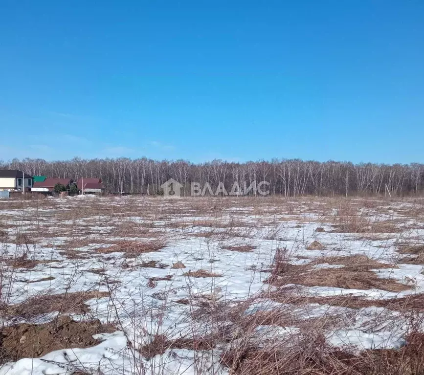 Участок в Московская область, Чехов городской округ, д. Чепелево ул. ... - Фото 0