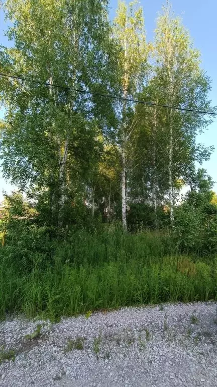 Участок в Новосибирская область, Новосибирский район, Барышевский ... - Фото 1