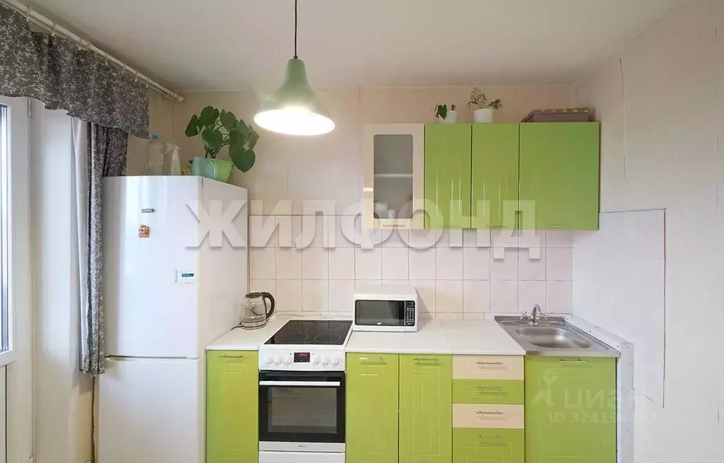 1-к кв. Новосибирская область, Новосибирск ул. Мира, 59/1 (31.0 м) - Фото 2