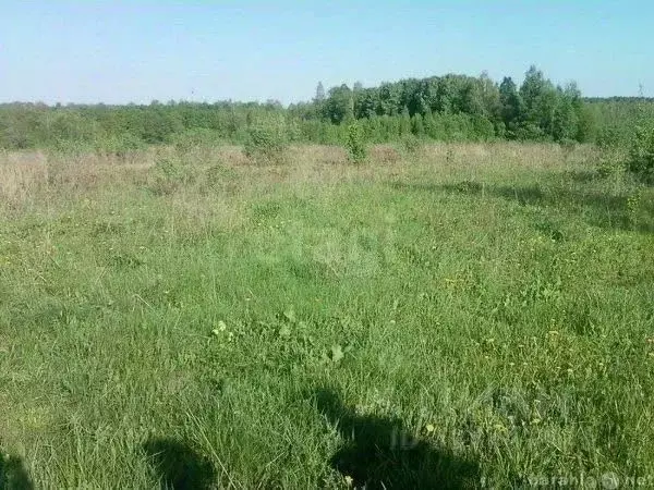 Участок в Пермский край, Пермский муниципальный округ, д. Полюдово  ... - Фото 1