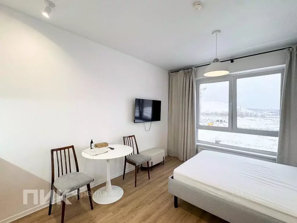 Студия Москва ул. Трехполье, 6к1 (20.0 м) - Фото 2