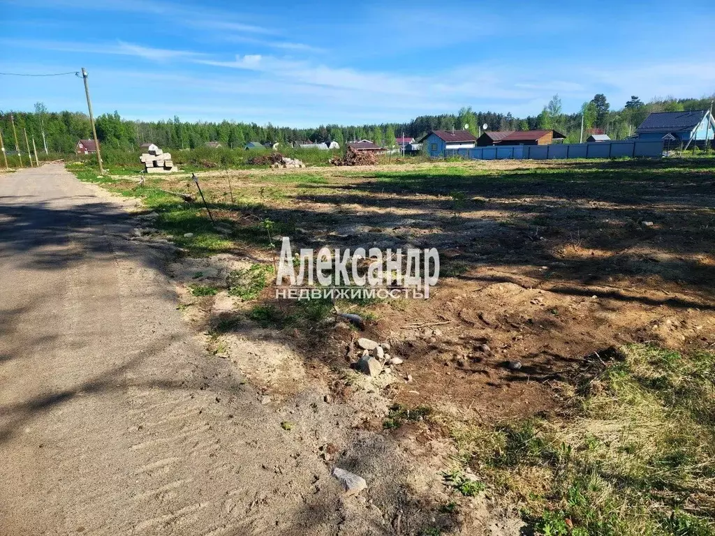 Участок в Ленинградская область, Приозерский район, Ларионовское ... - Фото 2