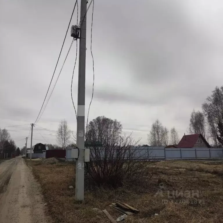 Участок в Новосибирская область, Коченевский район, Витязь садовое ... - Фото 1