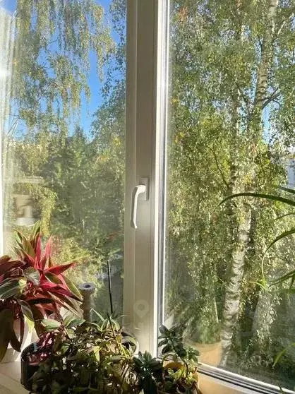 2-к кв. Санкт-Петербург Товарищеский просп., 16К1 (50.0 м) - Фото 1