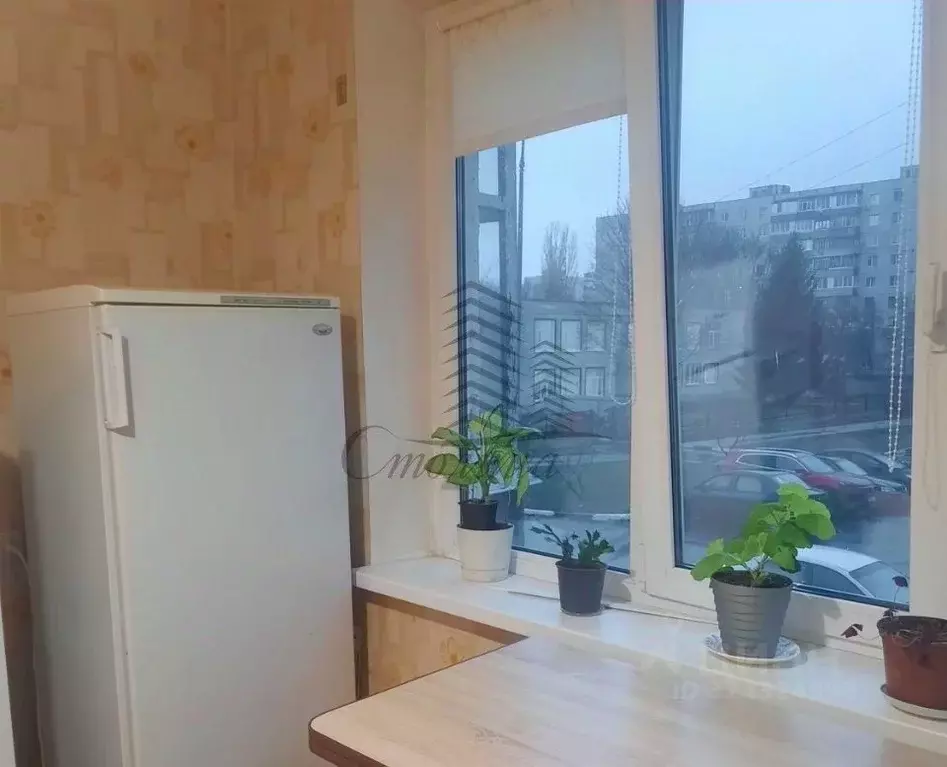 1-к кв. Белгородская область, Старый Оскол Олимпийский мкр, 20 (37.0 ... - Фото 1