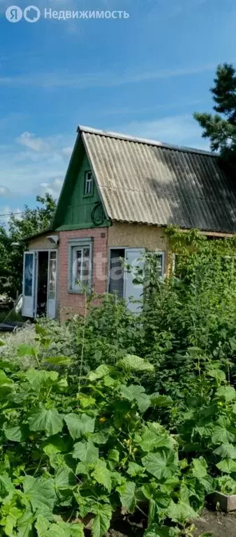 Дом в Омск, территория СОСН Колос-2, 13-я аллея (50 м) - Фото 1