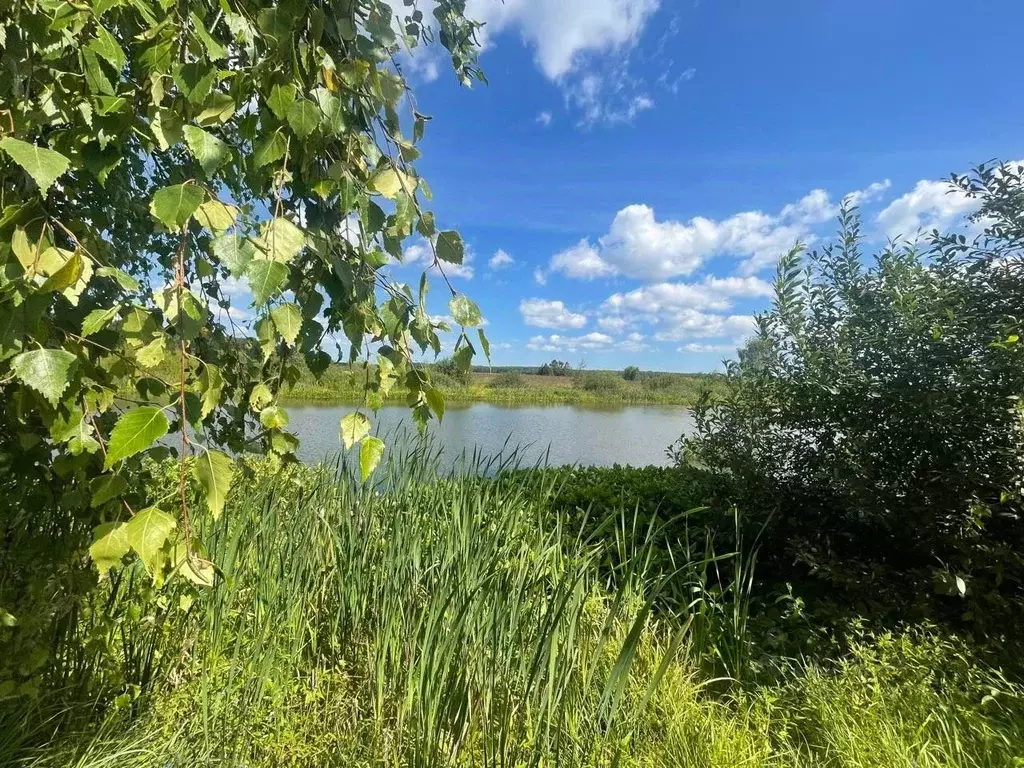 Дом в Московская область, Чехов городской округ, с. Стремилово ул. 2-я ... - Фото 1