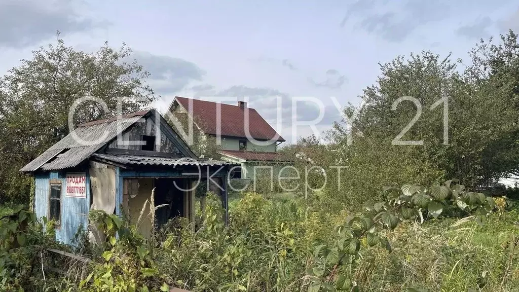 Участок в Калининградская область, Калининград 50 лет Октября СНТ, ул. ... - Фото 1