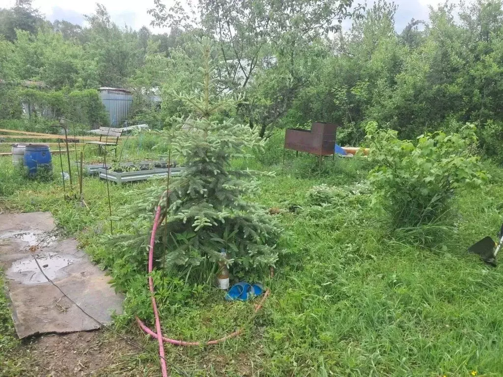 Участок в Нижегородская область, Балахнинский муниципальный округ, ... - Фото 1
